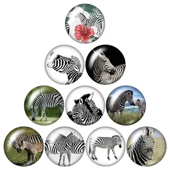 Kôň lásky zebra zvierat 18 mm modul tlačidiel 10pcs zmiešané kolo foto sklo cabochon štýl pre 18 mm modul šperky